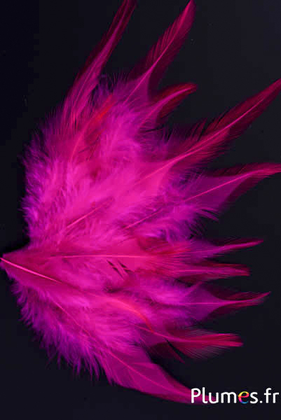 Coq - 8-12 cm - fuchsia